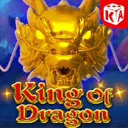 Dịch vụ chăm sóc khách hàng vn23 đăng ký