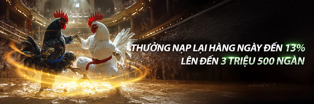 Hoạt động Hoàn trả Hàng ngày vn23 đăng ký