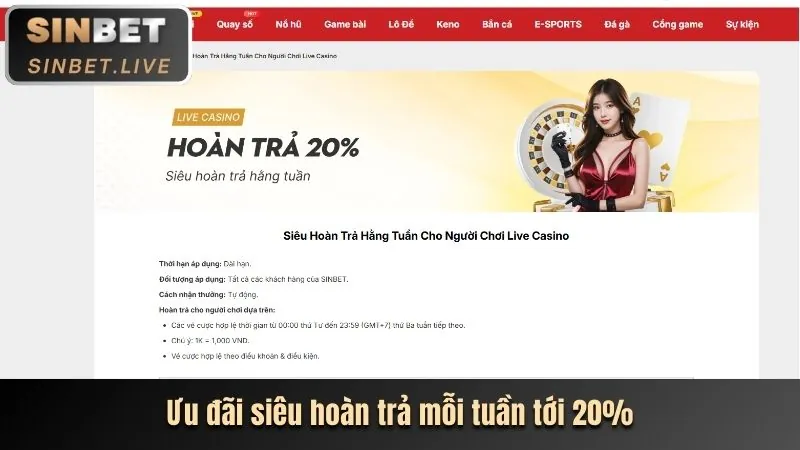 Trở thành thành viên VIP của VN23